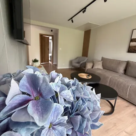 Apartamenty Sznurki *